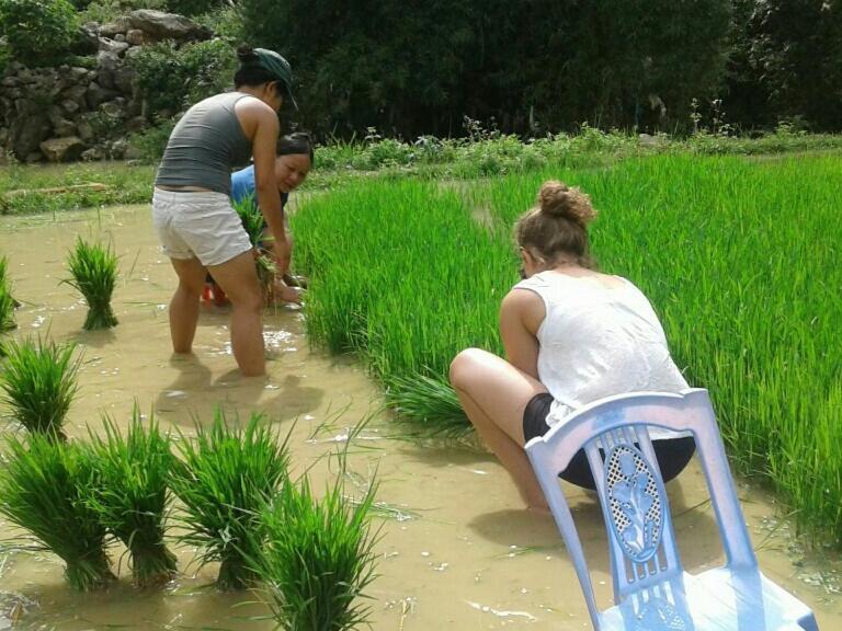 Yen Nhi Homestay Ban Gioc Cao Bang Εξωτερικό φωτογραφία